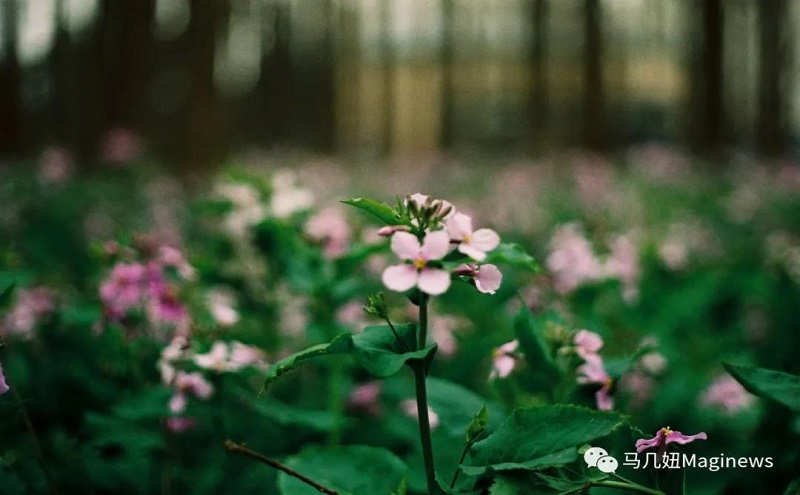 中考沒考好怎么辦？